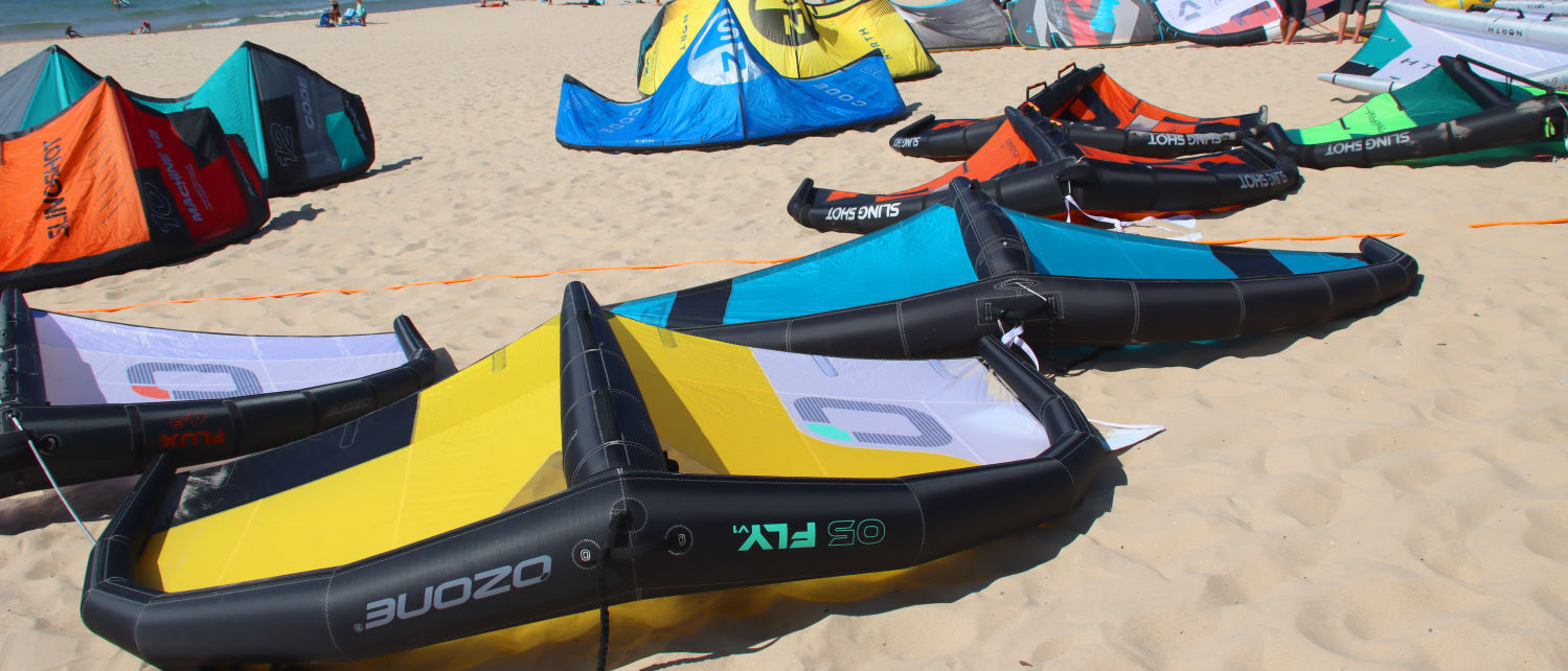 Many wings lie on display on the beach.