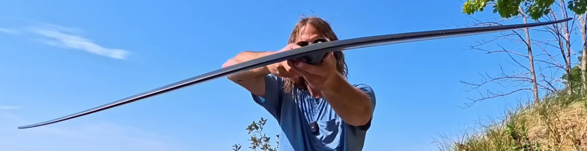 Viewed edge-on, the wing has the shape of a mustache with wingtips that flare up a bit.