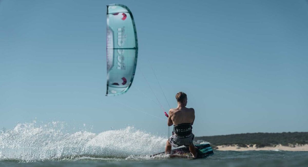 Reedin Whispermodel manufactured with Brainchild